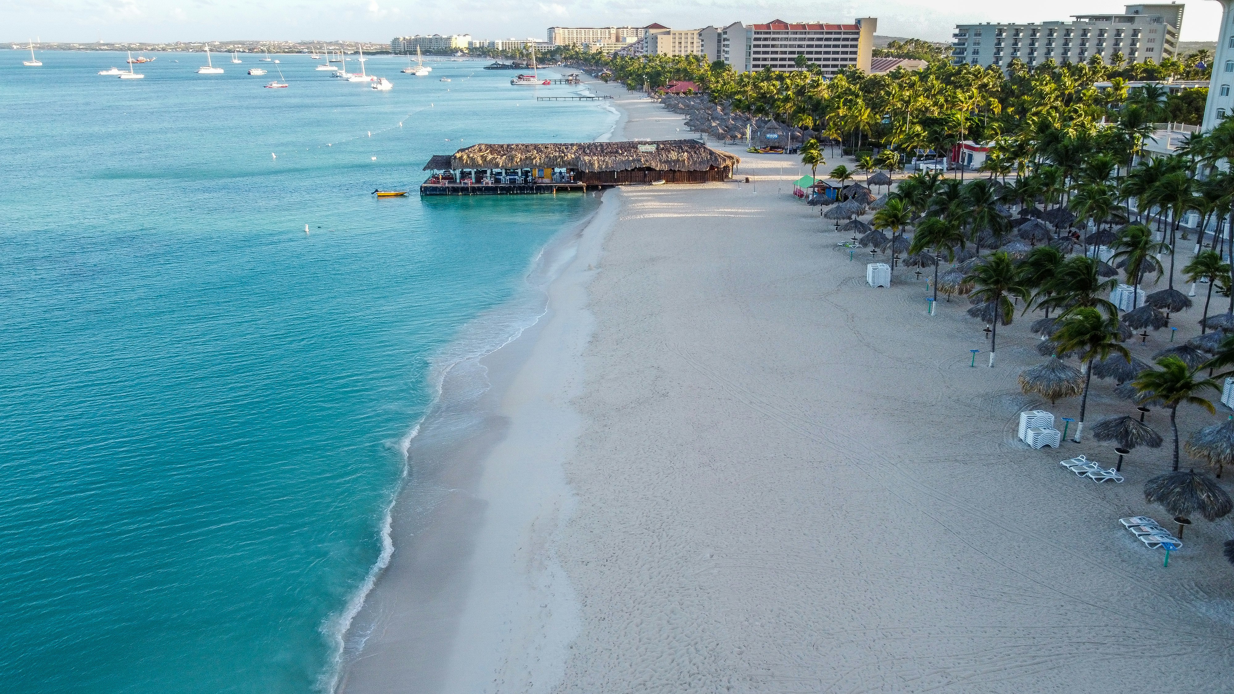 aerial view of beach during daytime